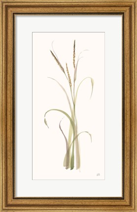 Framed Lyme Grass Print
