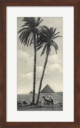 Framed Cairo IV Crop Print