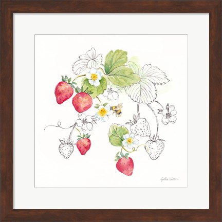 Framed Berries and Bees II Print