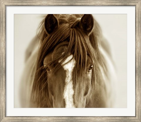 Framed Ghost Horse Print