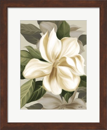 Framed Magnolia Blossoms II Print