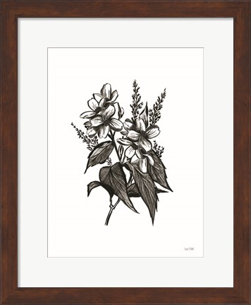 Framed Pen and Ink Wildflower I Print