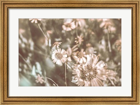 Framed Flower Power Print