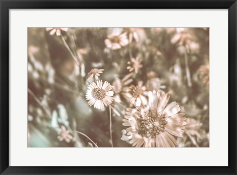 Framed Flower Power Print