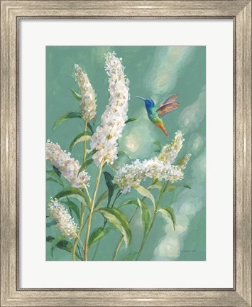 Framed Hummingbird Spring II Print