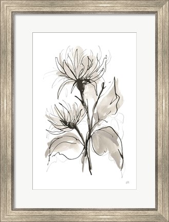 Framed Chrysanthemum II Print