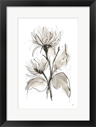 Framed Chrysanthemum II Print