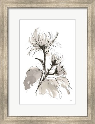 Framed Chrysanthemum I Print