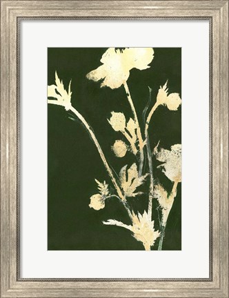 Framed Pure Nature 6 Print