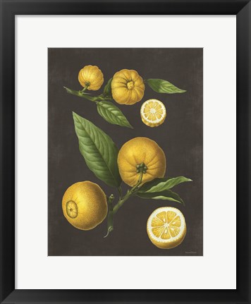 Framed Lemon Citrus Print