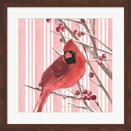 Framed Winter Cardinal I Print