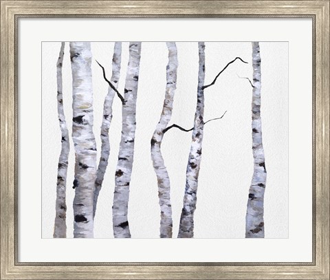 Framed Birch Trees I Print