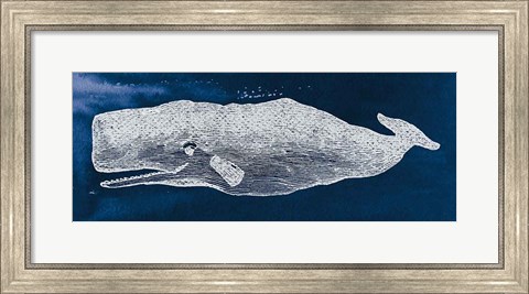 Framed Whale on Blue Print
