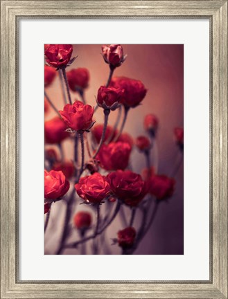 Framed Red Flowers Print