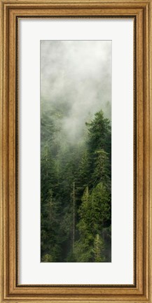 Framed Smoky Forest Panel III Print