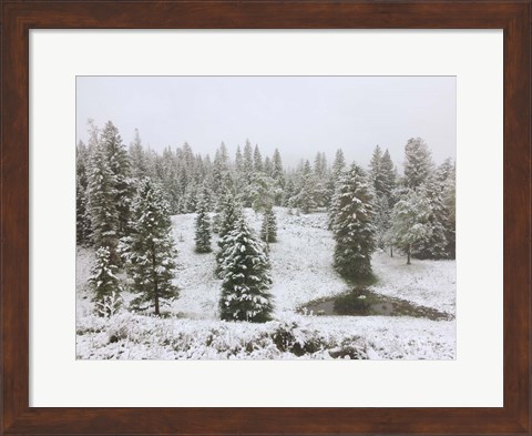 Framed Dusting of Snow Print