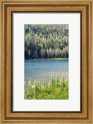 Framed Hidden Lake Print