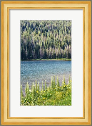 Framed Hidden Lake Print