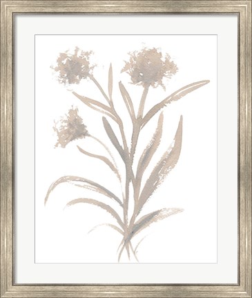 Framed Beige Herb II Print