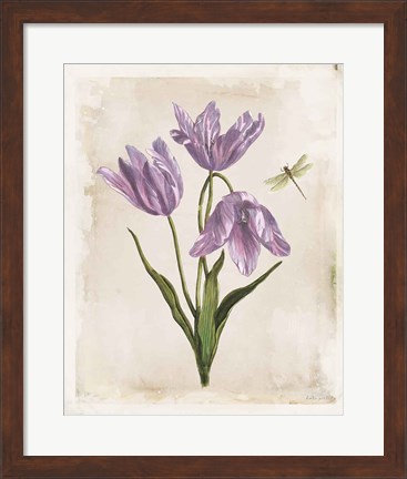 Framed Antiquarian Blooms III Purple Print