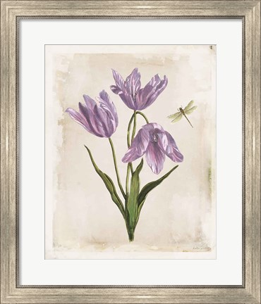 Framed Antiquarian Blooms III Purple Print