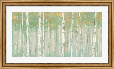 Framed Birchs at Sunrise Gold Crop Print