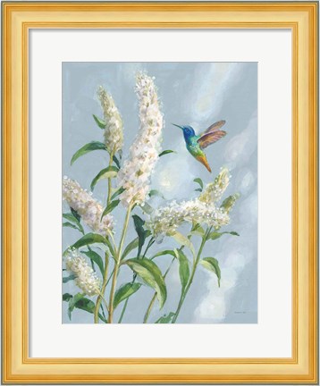 Framed Hummingbird Spring II Soft Blue Print