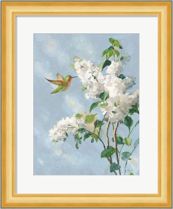 Framed Hummingbird Spring I Soft Blue Print