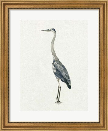 Framed Saltwater Herons II Print