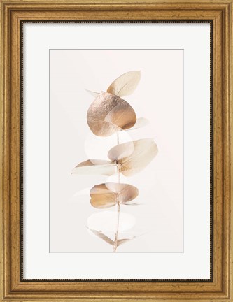 Framed Eucalyptus Creative Gold 4 Print
