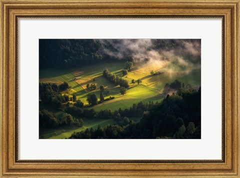 Framed Light and Shadow Print
