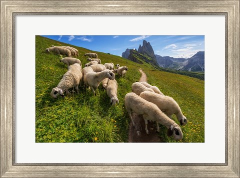 Framed On the Way to Odle mountains Print