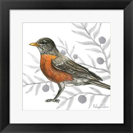 Framed Backyard Birds VI-Robin Print