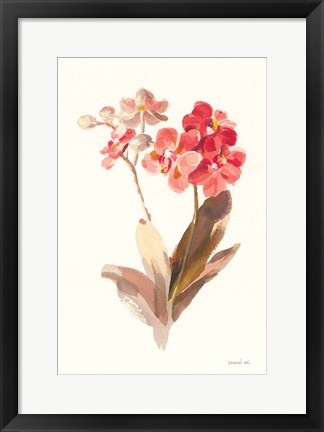 Framed Autumn Orchid II Print