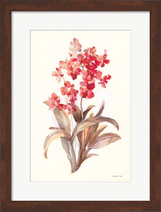 Framed Autumn Orchid I Print