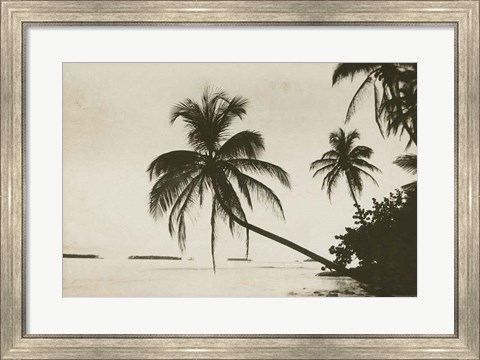Framed Palm Beach I Print