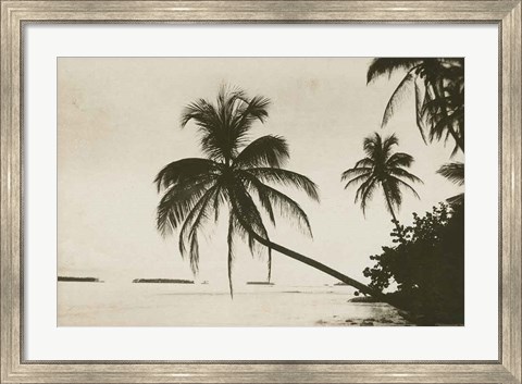 Framed Palm Beach I Print