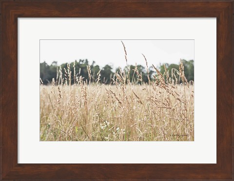 Framed Summer Field II Print