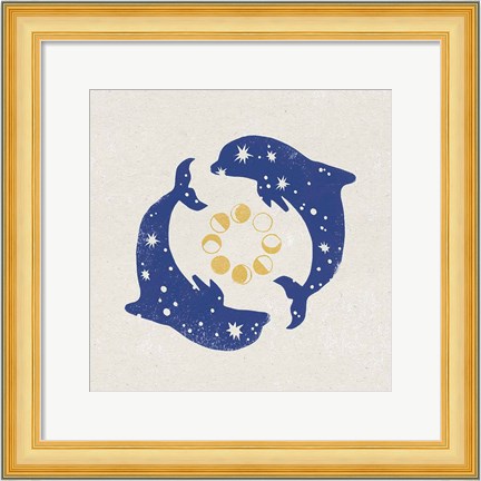 Framed Star Dolphins Print
