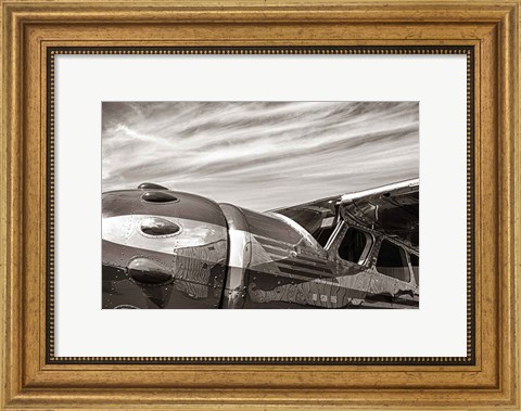 Framed Aviator Print