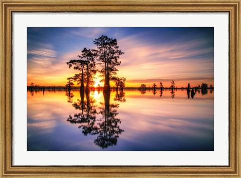 Framed Dawn in Henderson Swamp Print
