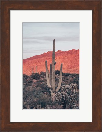 Framed Sunsets and Saguaros I Print