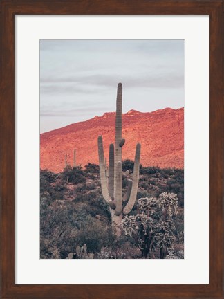 Framed Sunsets and Saguaros I Print