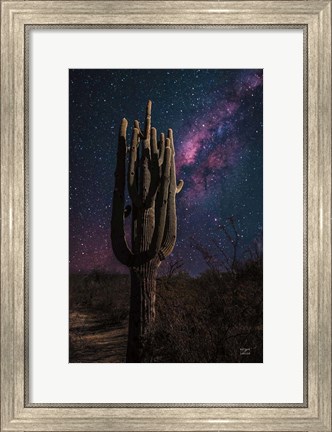 Framed Desert Nights Print
