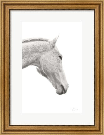 Framed Horse Named Lady I BW Print