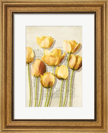 Framed Tulipes et Histoires Print