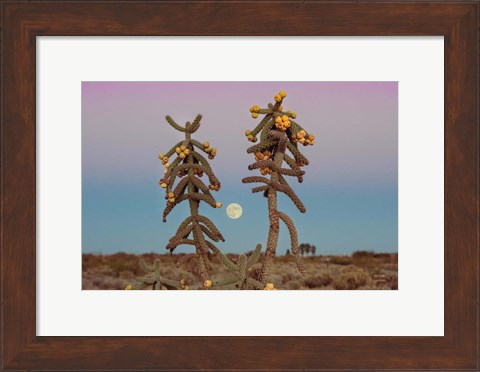 Framed Desert Moonrise Print