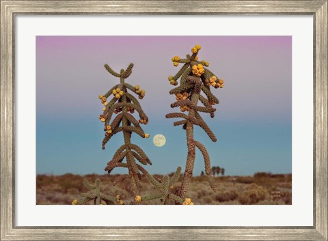 Framed Desert Moonrise Print