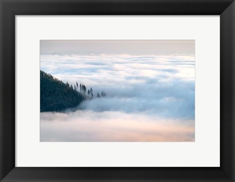 Framed Fog and Forest III Print