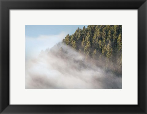 Framed Fog and Forest I Print